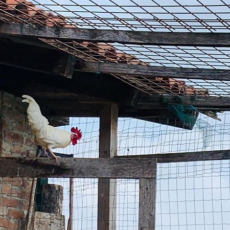Вилла Agriturismo Cascina Smeralda Pontestura Экстерьер фото