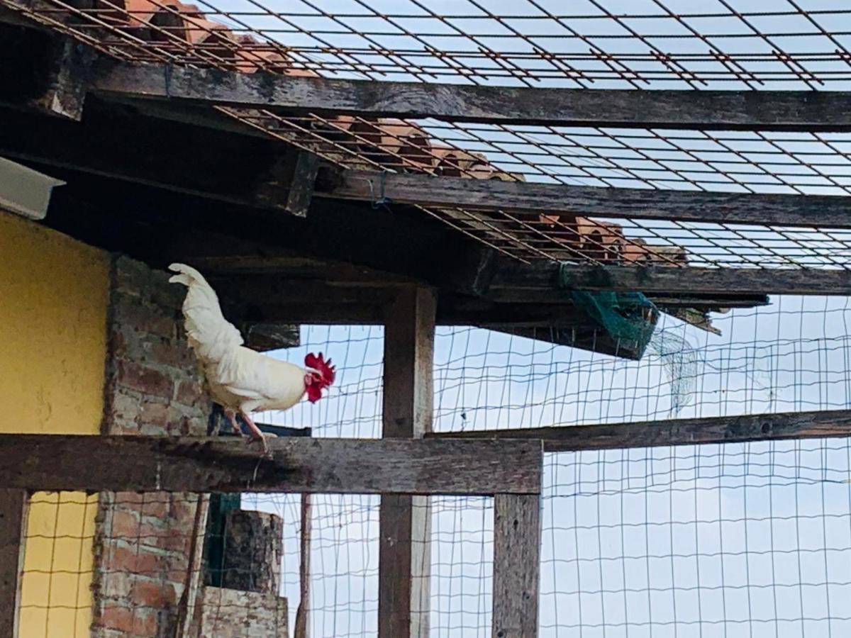 Вилла Agriturismo Cascina Smeralda Pontestura Экстерьер фото
